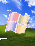 pic for Windows logo